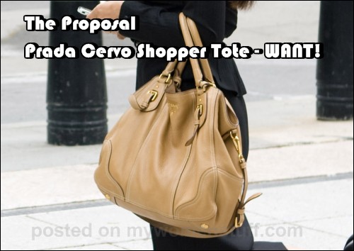 The Proposal - Prada Bag that makes my heart go pit-a-pat - My ...  