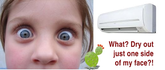 did you realize the air conditioner was drying out only part of your face?