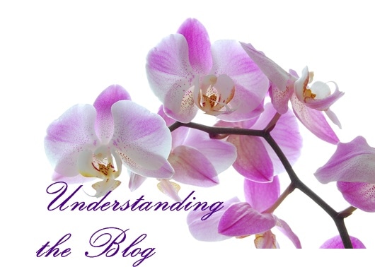 understanding the blog