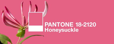 pantone honeysuckle color of the year 2011