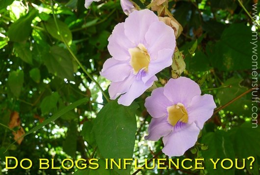 do blogs influence you?
