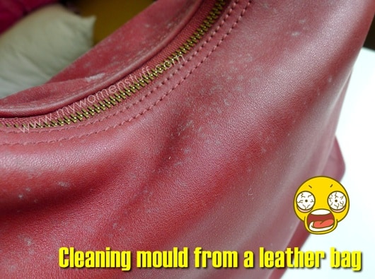 cleaning a moldy leather bag