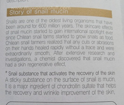 snail cream story