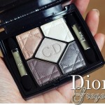 dior new look grege eyeshadow palette review swatches