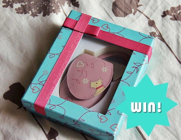 win radley mirror and pouch