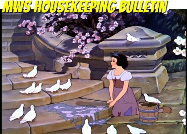 mws housekeeping