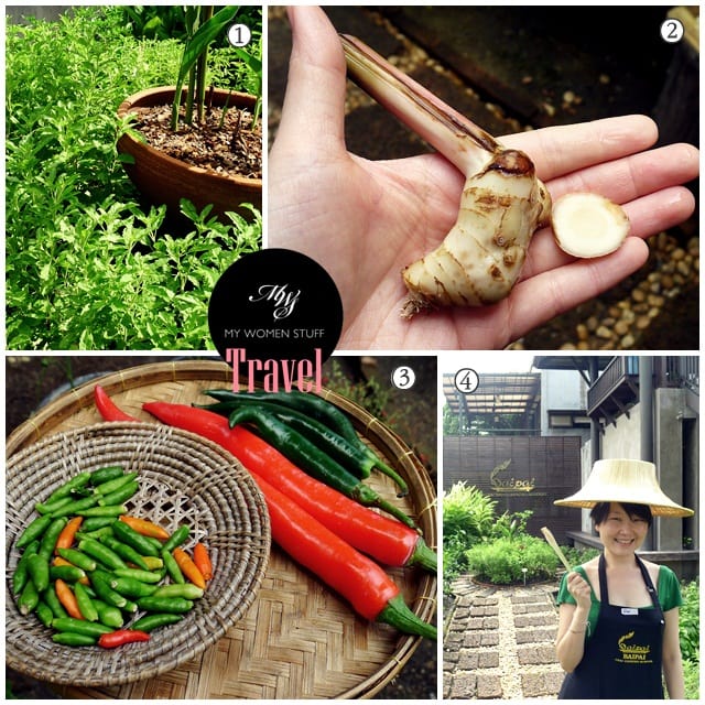 bai pai cooking school herb garden