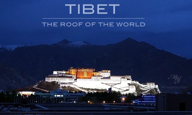 tibet potala palace by night