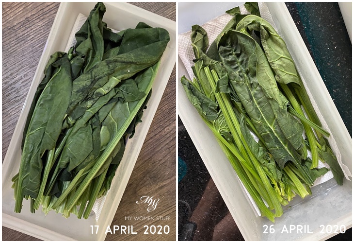 store spinach  before after